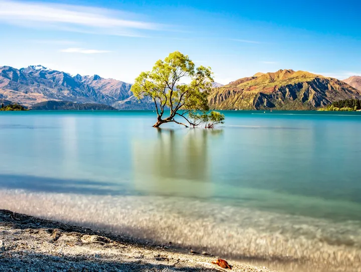 Wanaka